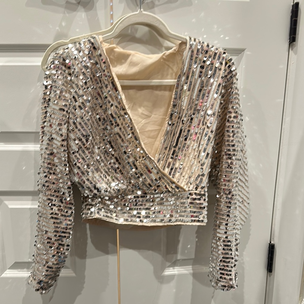 Sequin Embellished Silver Crop Top